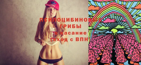 mix Осинники