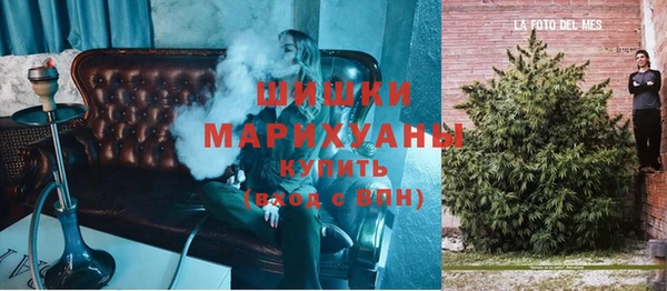 эйфоретик Осташков