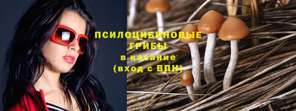 не бодяженный Абдулино