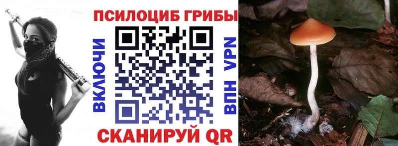 Галлюциногенные грибы Cubensis  Лакинск 